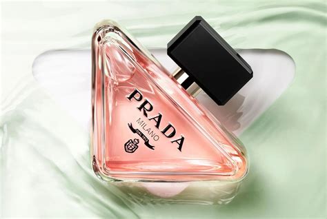 parfimo prada|Altro.